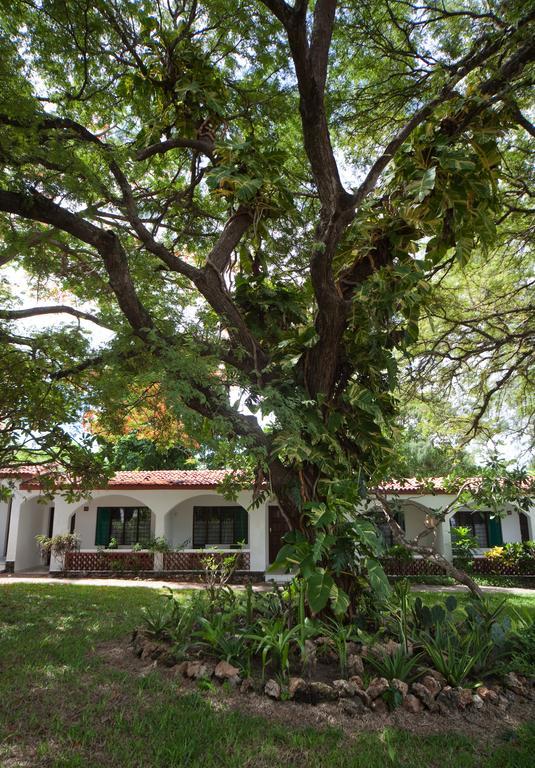 Diani Sea Lodge Diani Beach Εξωτερικό φωτογραφία