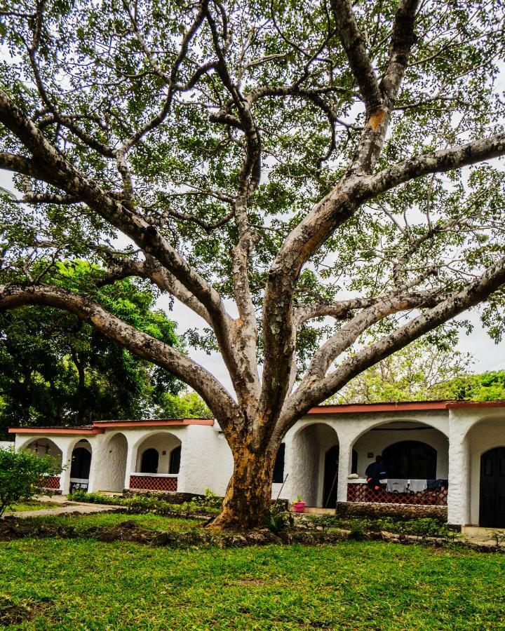 Diani Sea Lodge Diani Beach Εξωτερικό φωτογραφία