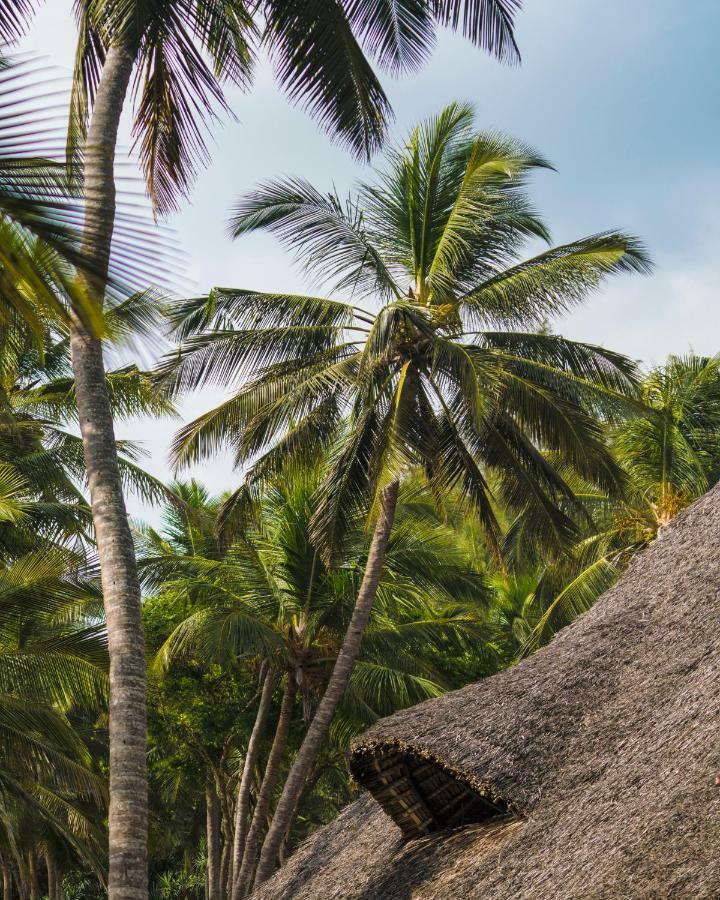 Diani Sea Lodge Diani Beach Εξωτερικό φωτογραφία